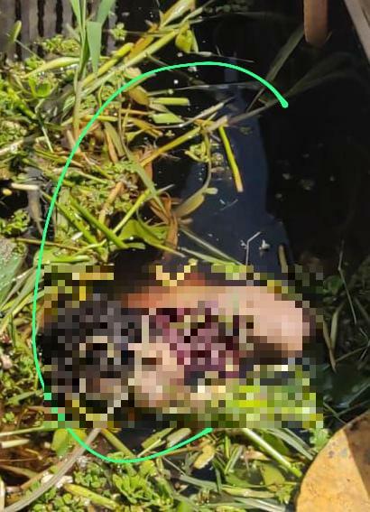 Cadáver é encontrado boiando em igarapé do Centro de Manaus