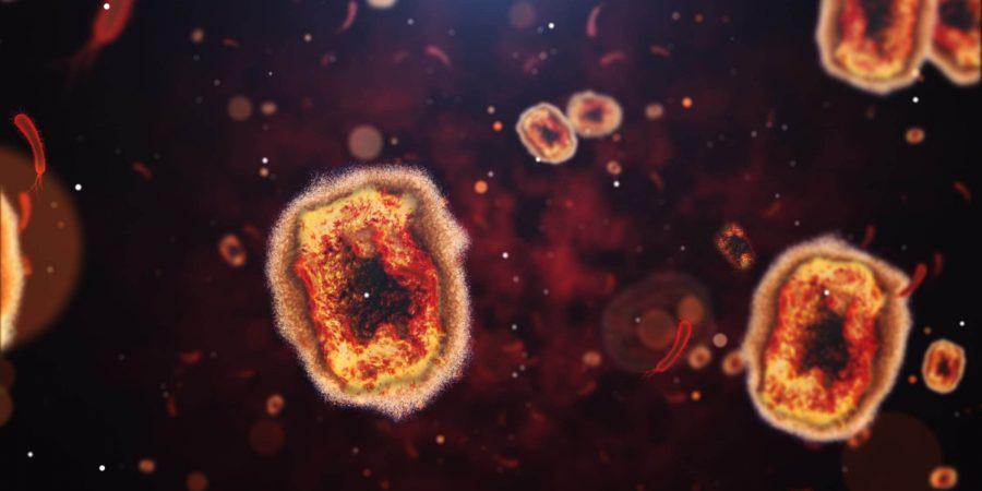 Amazonas investiga mais três casos suspeitos de Monkeypox