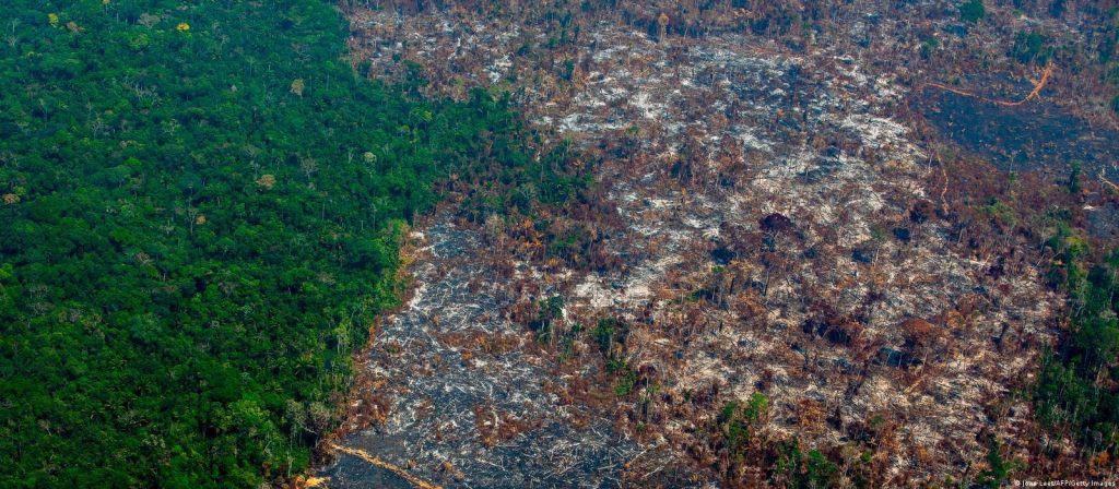 Amazônia perdeu 31 mil km² sob Bolsonaro, aponta Inpe