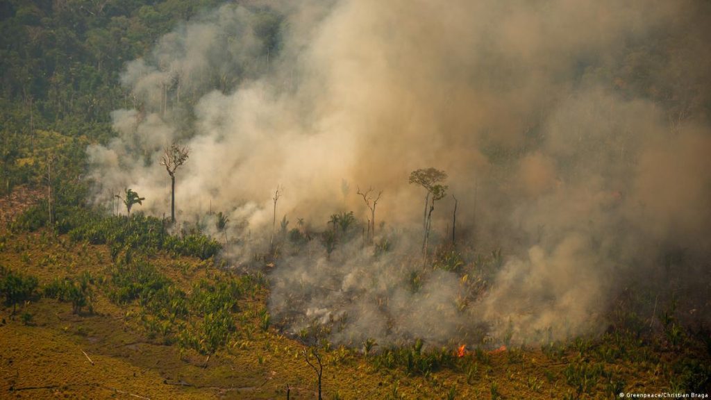 Mês de agosto apresenta queda de 42% nos focos de calor