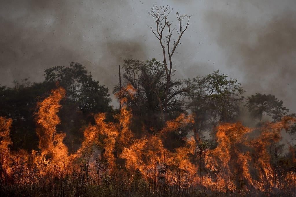 Queimadas na Amazônia em 2022 já superam total do ano passado
