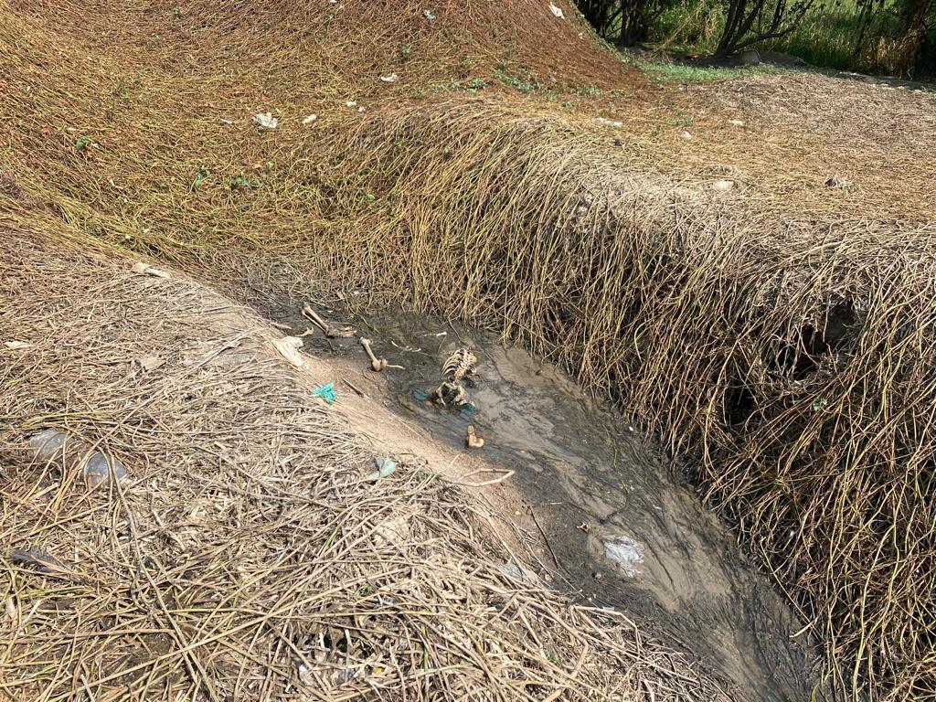 Ossada humana é encontrada em córrego da Zona Oeste de Manaus