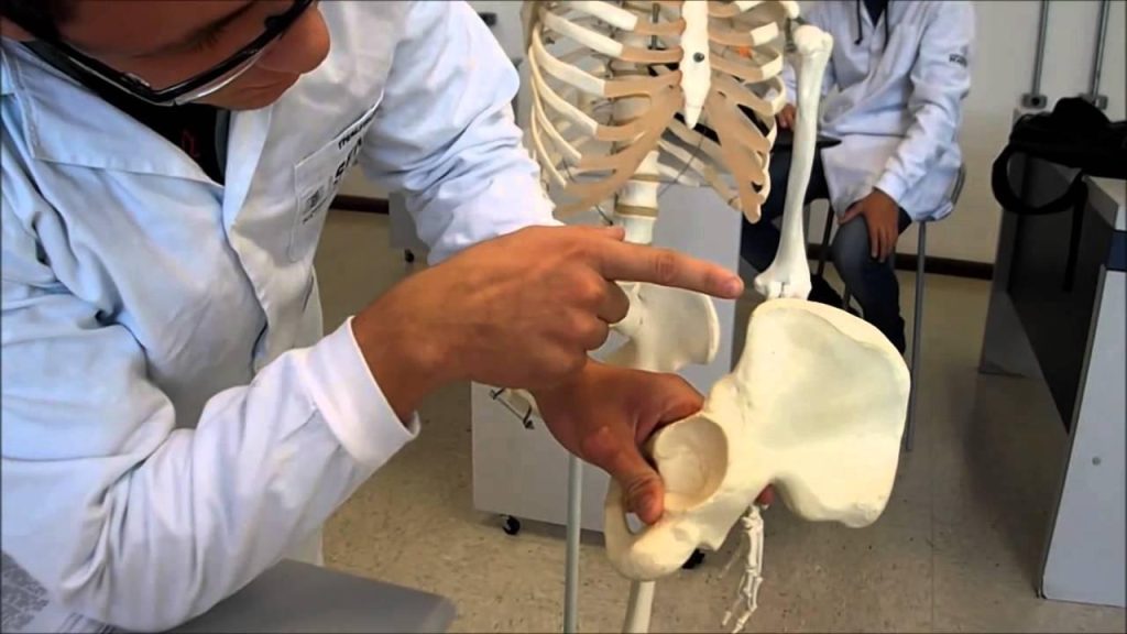 Osteoporose é uma das principais causas de morbidade e mortalidade em idosos