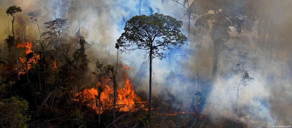 Noruega anuncia que vai desbloquear Fundo Amazônia