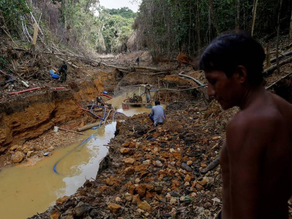 Indígenas isolados sob risco no Amazonas