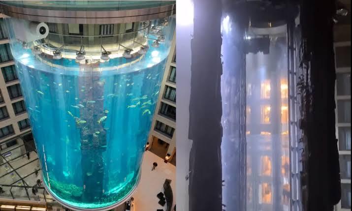 Aquário de 16 metros explode com mais de 1.500 peixes