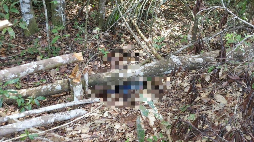 Corpo em decomposição é encontrado em área de mata
