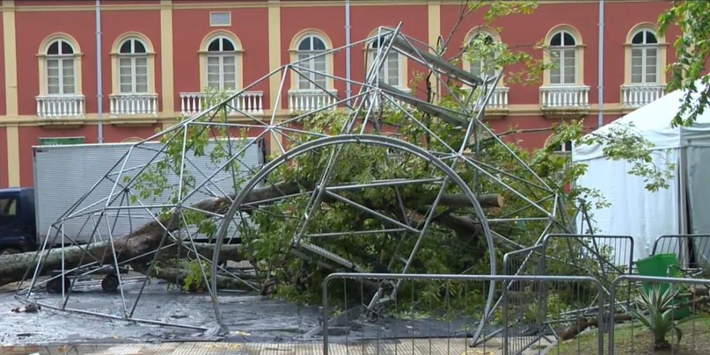 Após queda de árvore, projeto ‘Cápsula da Ciência’ é cancelado em Manaus