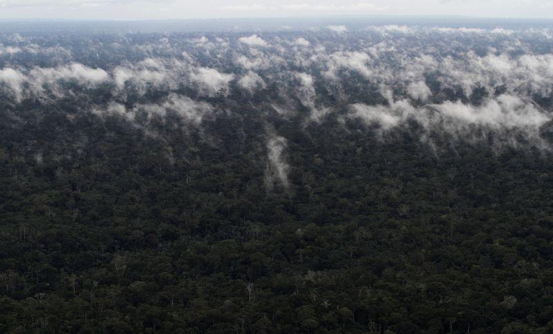 Semente plantada em 2022