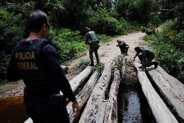 Ibama inicia operações na Amazônia