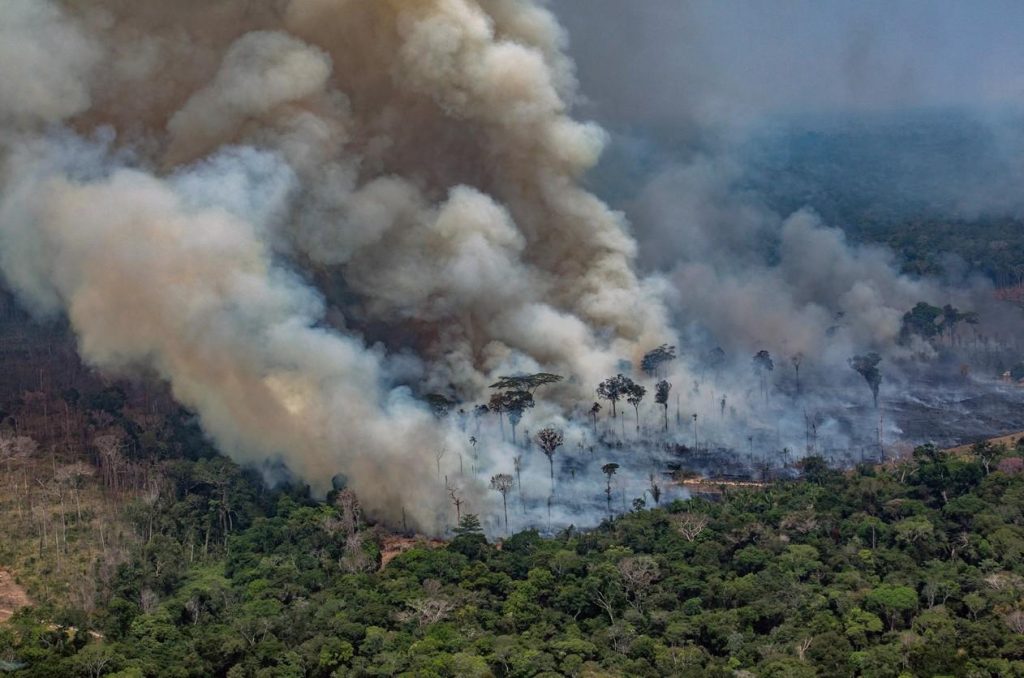 Desmatamento na Amazônia cresce 46%, aponta Inpe