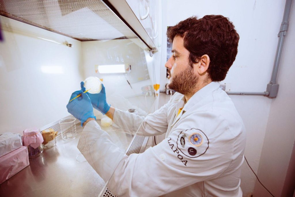 Pesquisa encontra cepas bacterianas com potencial probióticos em peixes amazônicos