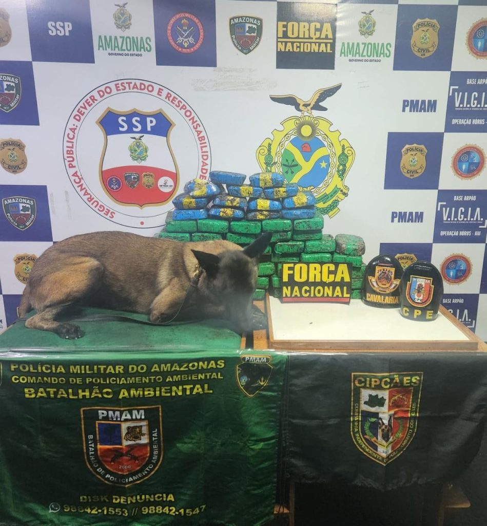 Carga de drogas apreendida em embarcação é avaliada em R$ 2 milhões