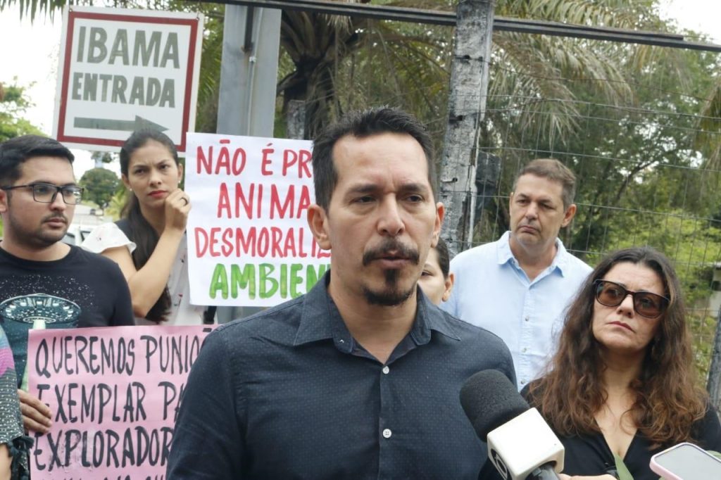 Ibama vai recorrer de decisão liminar que obrigou devolução da capivara Filó a influencer
