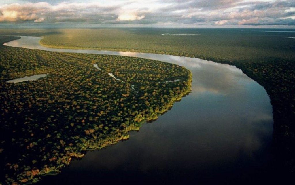 Atuação do Ibama na Amazônia será tema de debate em Comissão do Senado
