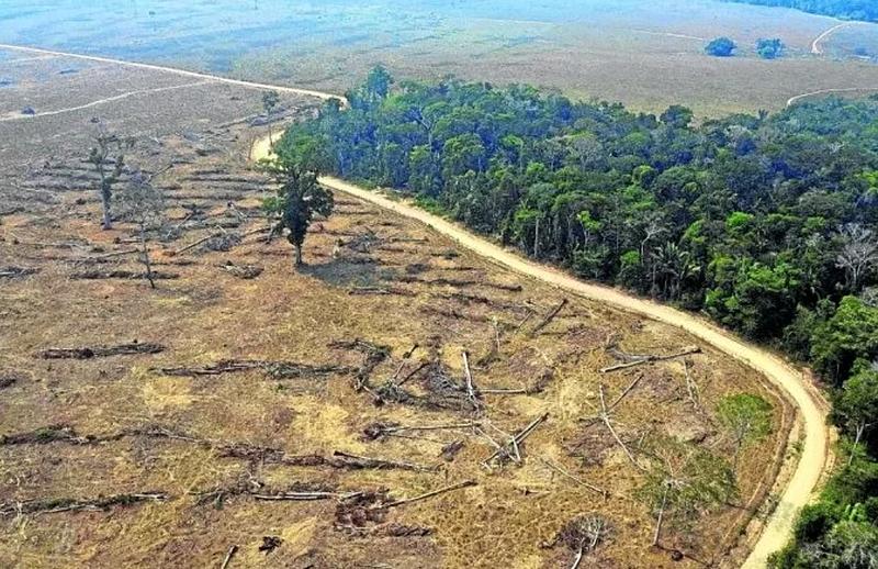 A Amazônia e os discursos governamentais