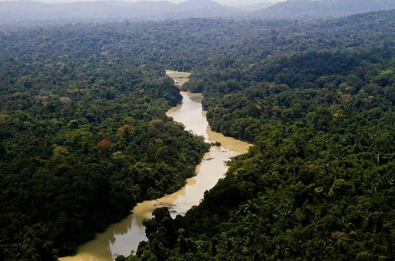 Estão abertas inscrições para projetos voltados à preservação da Amazônia