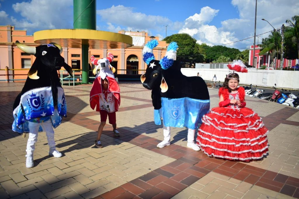 Itens mirins almejam espaço nos bois Garantido e Caprichoso
