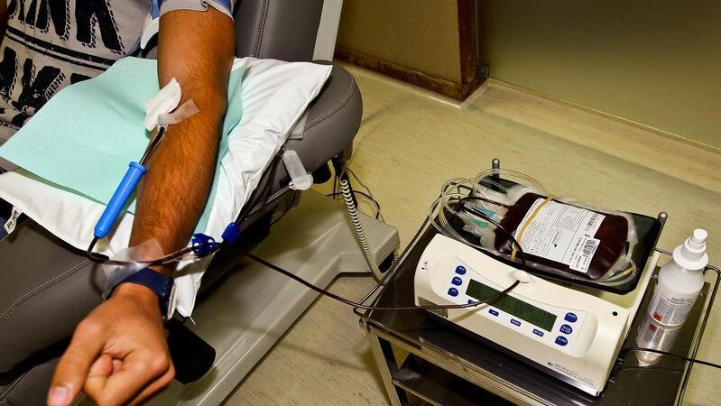 Estáveis no resto do país, mortes por hepatite crônica aumentam no Norte e Nordeste