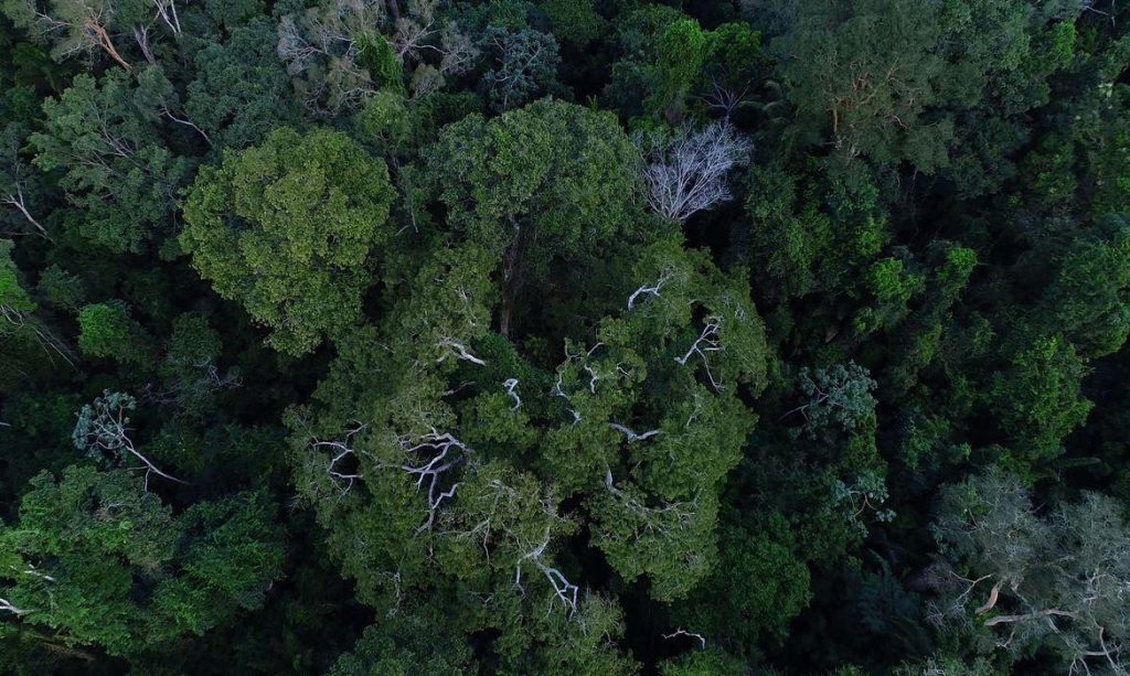 Cúpula será ‘novo tempo’ para comunidades amazônicas, afirma instituto
