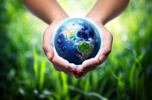 Seguro ambiental dispara no Amazonas