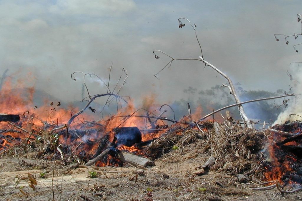 Emergência Ambiental