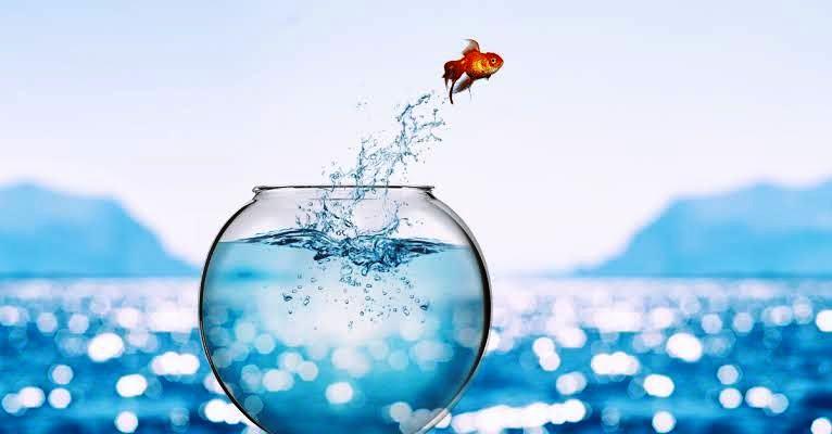 Inventar ou reinventar?