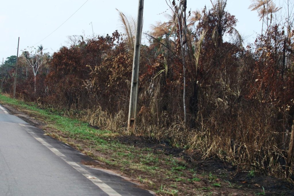 Seca acende alerta e municípios relatam dificuldade no combate a incêndios no interior do Amazonas