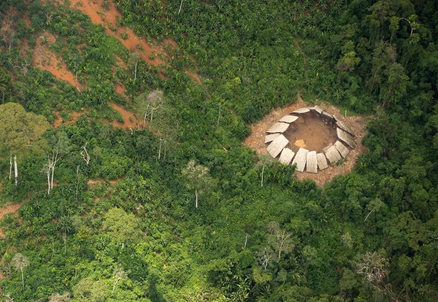 Empresas de crédito de carbono são denunciadas por grilagem no Pará