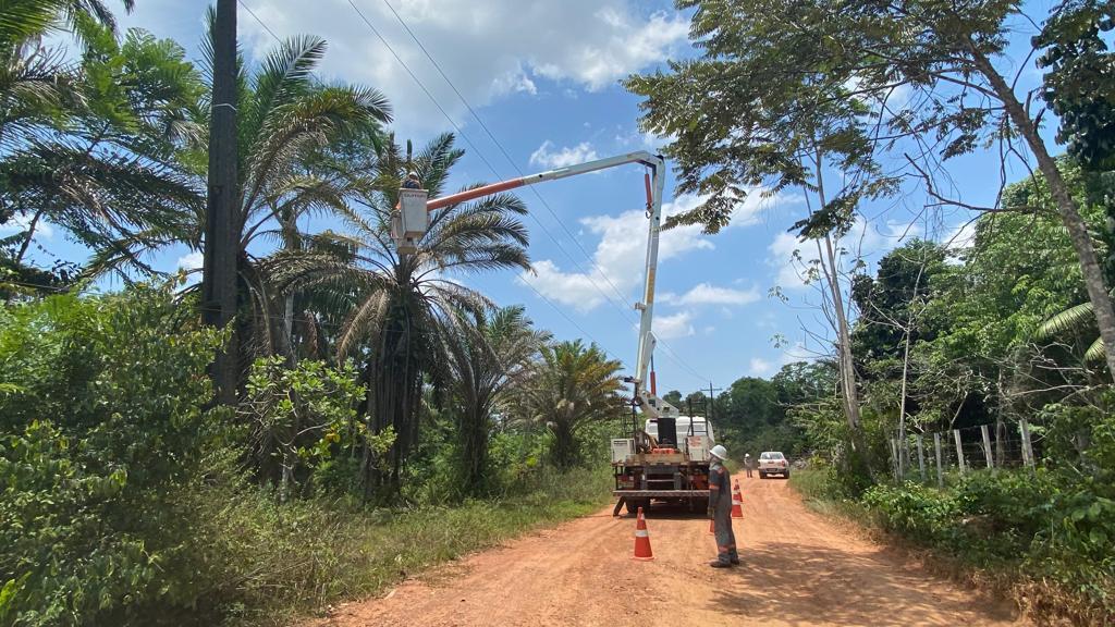 Mutirões em ramais na BR-174 retiram galhos e objetos da rede elétrica