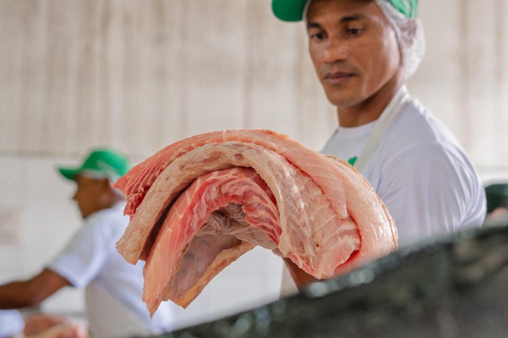Feira do Pirarucu oferta cinco toneladas de peixe em Manaus