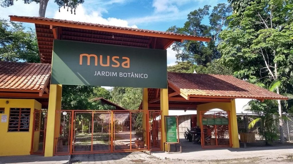 Crianças e adolescentes até 16 anos terão entrada gratuita liberada no Musa, no dia 12 de outubro