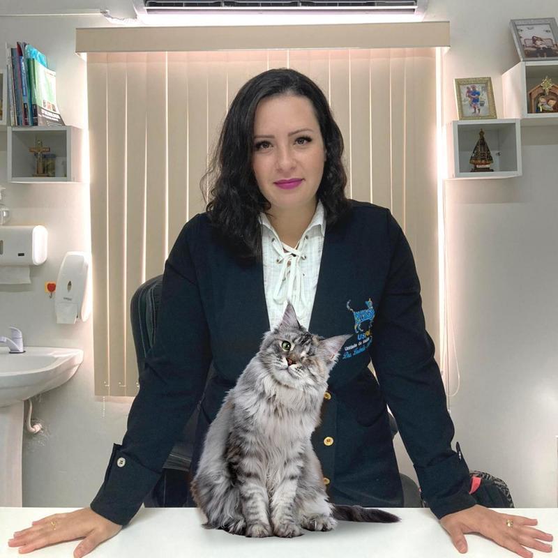 Zoonose: gatos não são os vilões