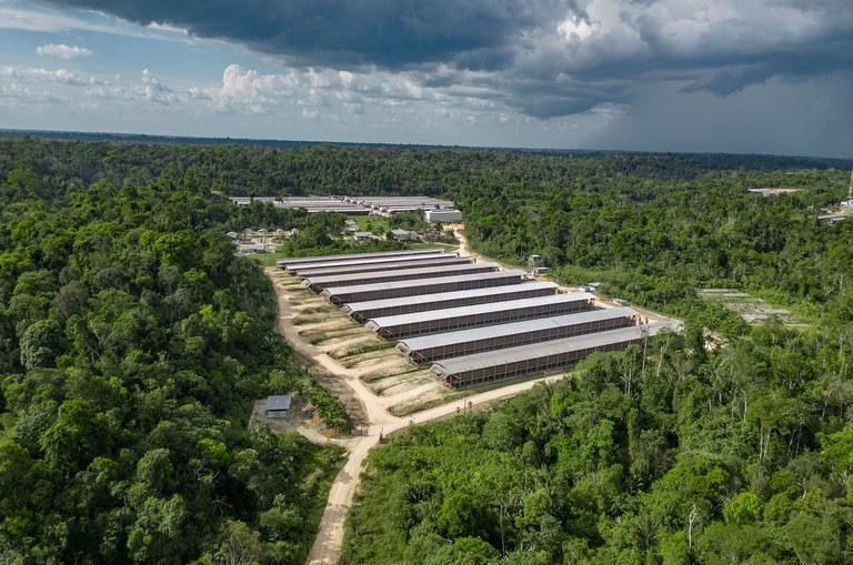 Os potenciais do Distrito Agropecuário