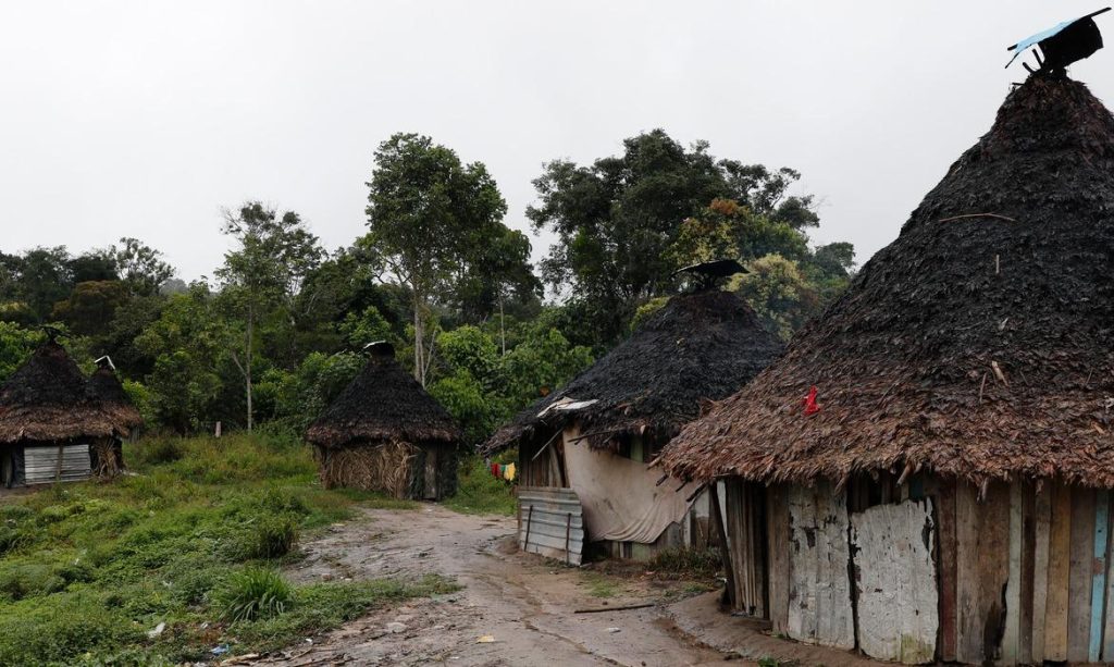 Representantes da corte interamericana visitarão Terra Indígena Yanomami