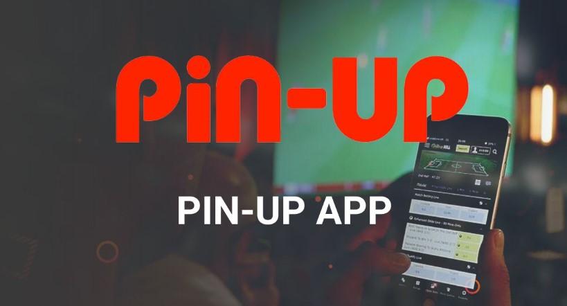 imagem de um smartphone com o logo do aplicativo Pin-Up na tela