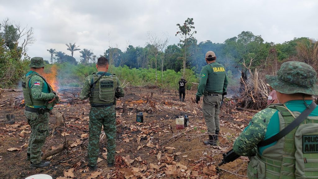 Ibama combate queimadas e desmatamento em Autazes, no Amazonas