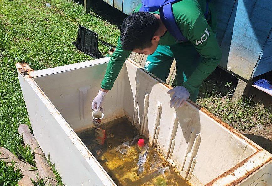 Amazonas apresenta médio risco para circulação de Aedes aegypti, aponta levantamento