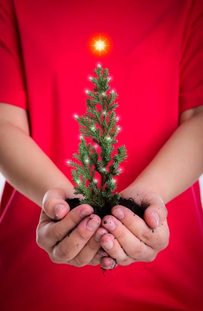 As festas de final de ano podem ser sustentáveis