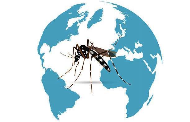Dengue, um problema ambiental!