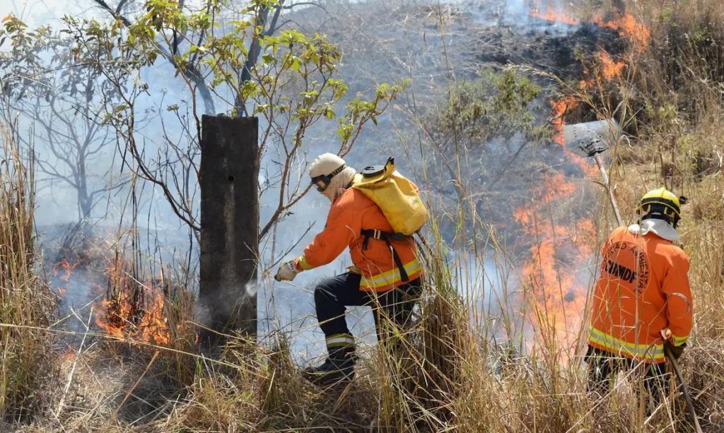 Focos de fogo batem recorde