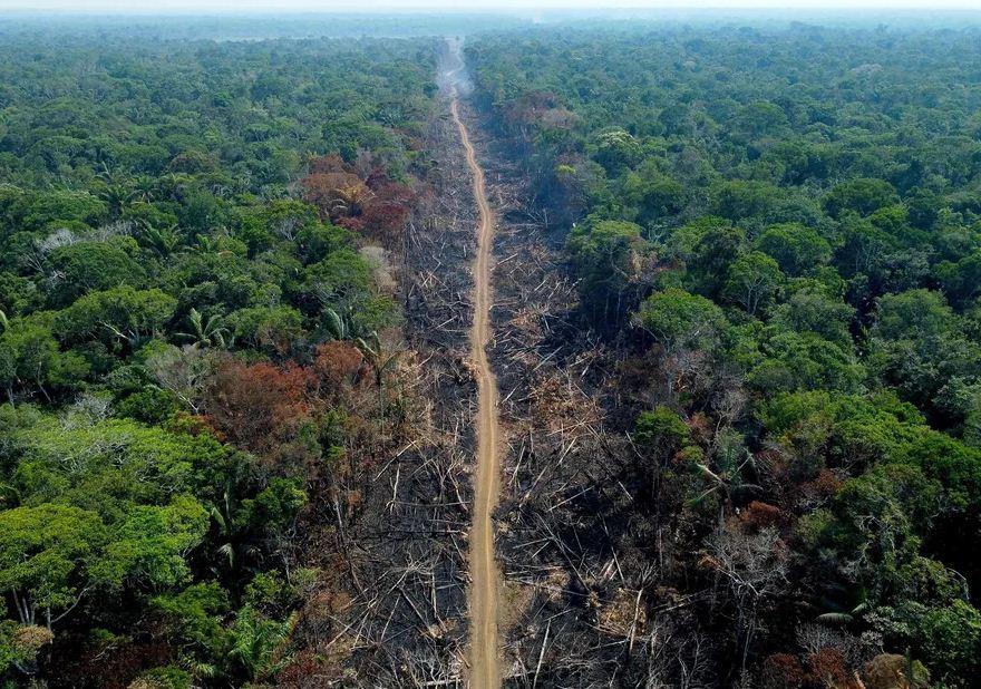 Programa contra o desmatamento abrange nove municípios do Amazonas