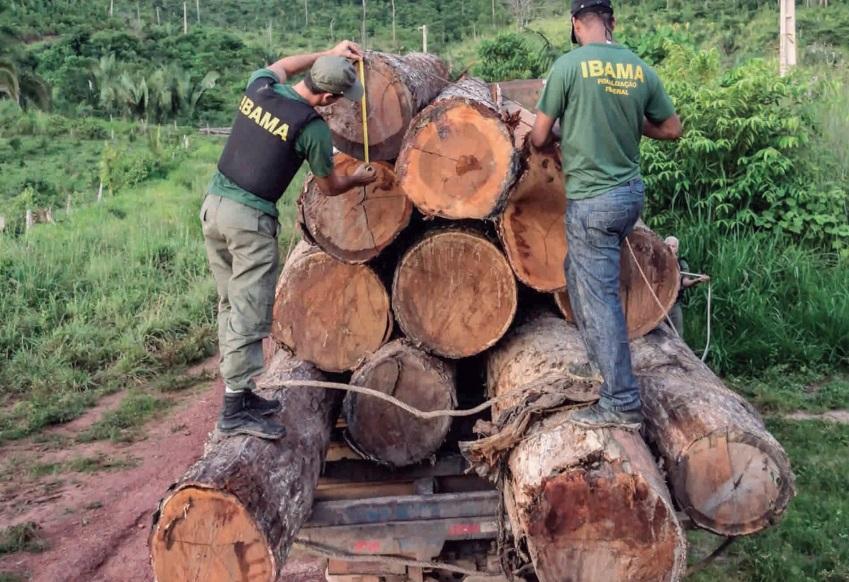 Paralisação de servidores no Amazonas derruba autos de infração ambiental
