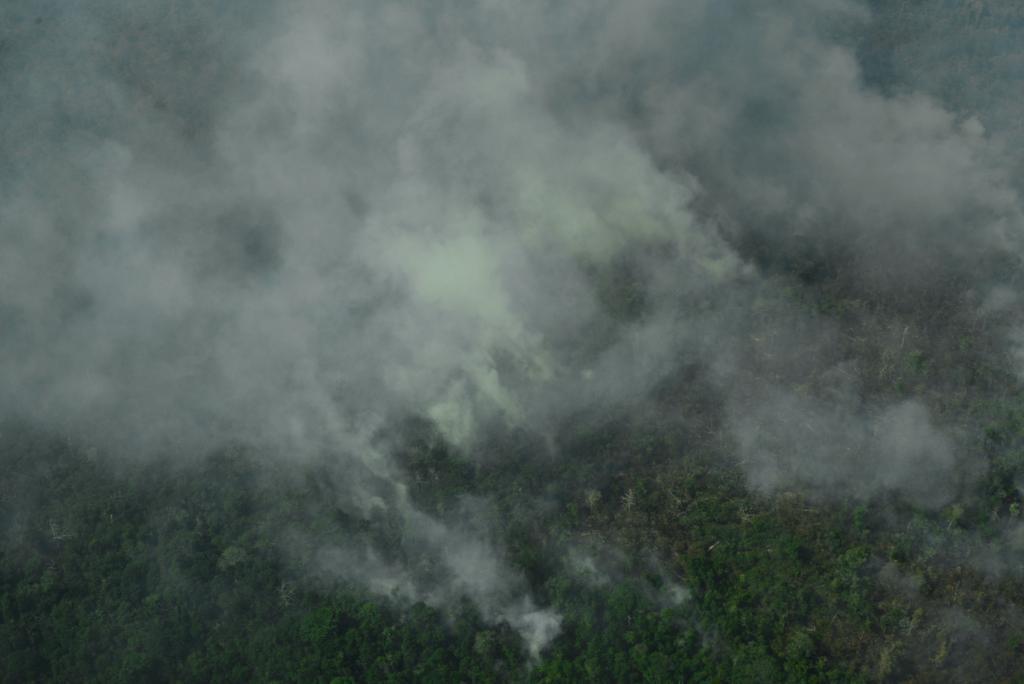 Ação humana e a crise climática