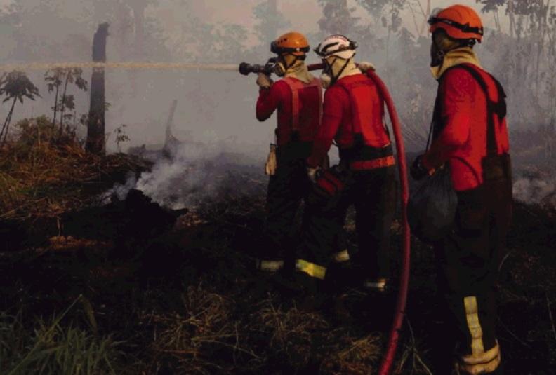 Greve ameaça resposta à temporada de incêndios