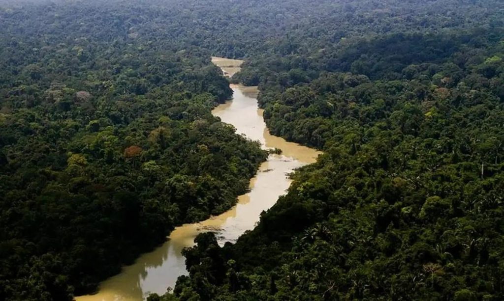 Fórum Brasil UK discute soluções para a Amazônia