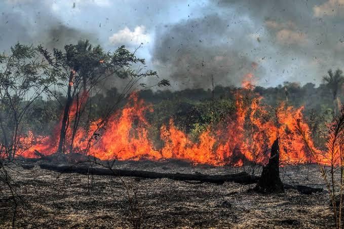 Governo instala sala de crise para queimadas e seca no país