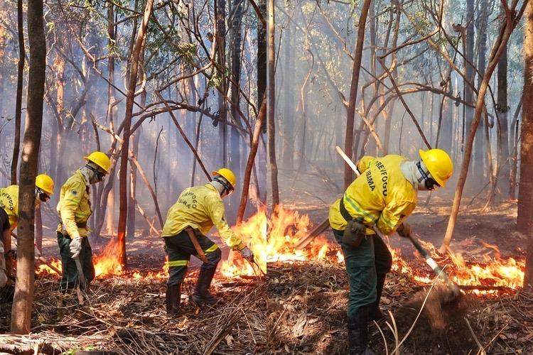Ibama diz que queimadas serão combatidas mesmo com greve