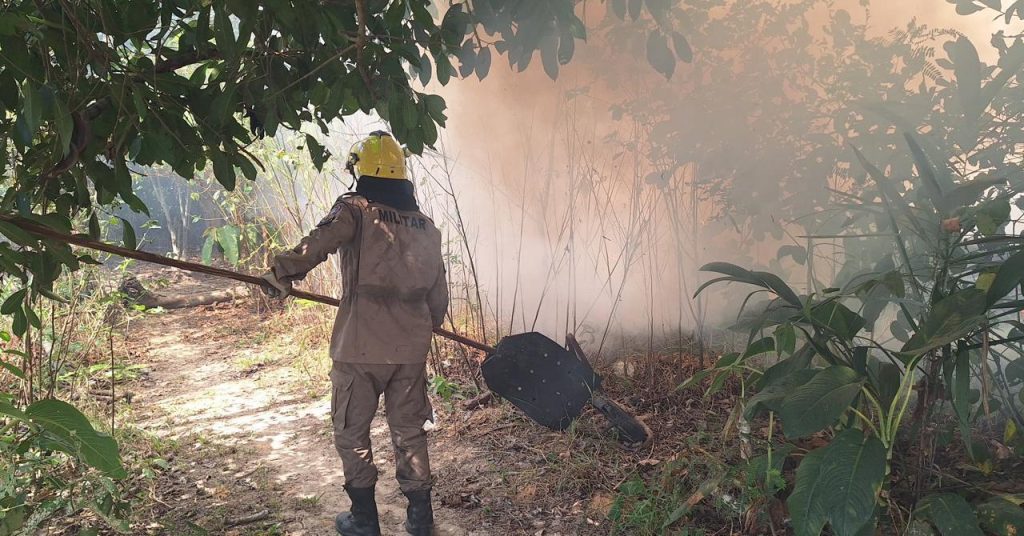 Sul do Amazonas registra mais de 500 focos de incêndio no mês