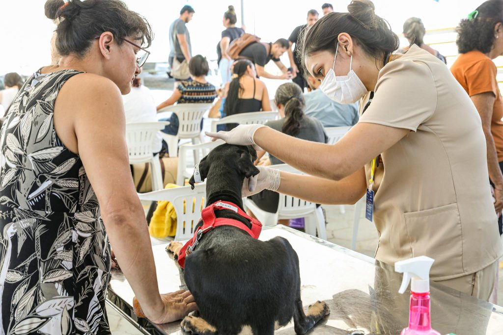 Comunidade da Sharp recebe serviço de castração na quarta-feira (10)
